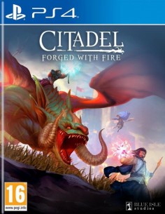 Citadel forged With Fire (PS4)