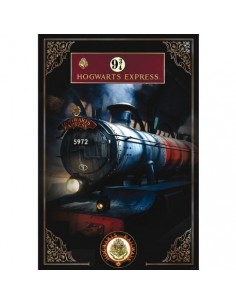 Póster Harry Potter Anden 9...