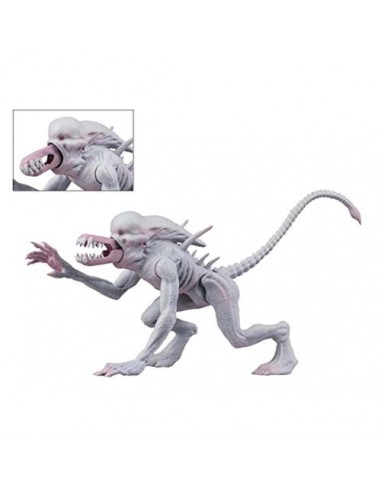 Figura Alien Neomorpo 15cm. NECA