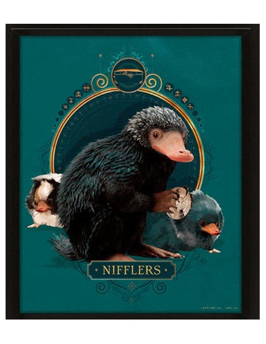 Cuadro 3D Lenticular (Harry Potter)...