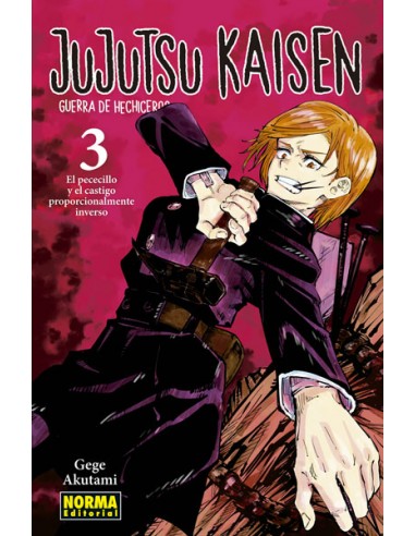Jujutsu Kaisen Nº3