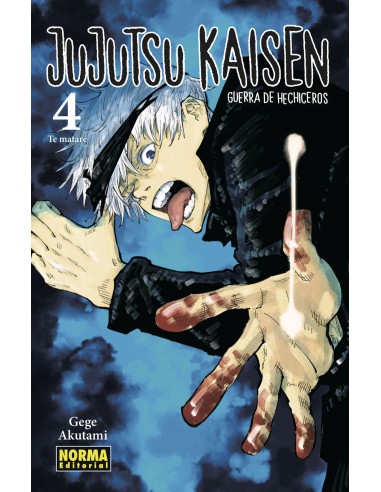 Jujutsu Kaisen Nº4