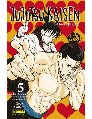 Jujutsu Kaisen Nº5