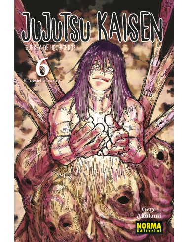 Jujutsu Kaisen Nº6