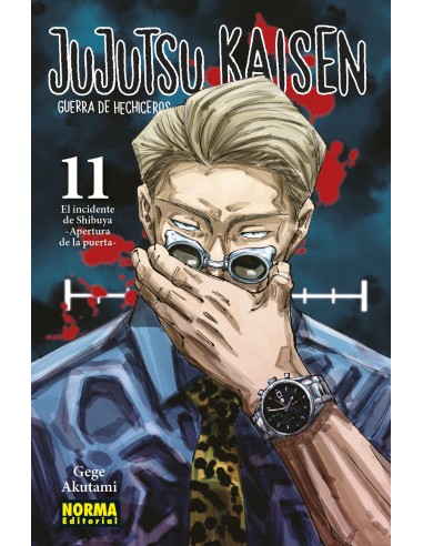 Jujutsu Kaisen Nº11