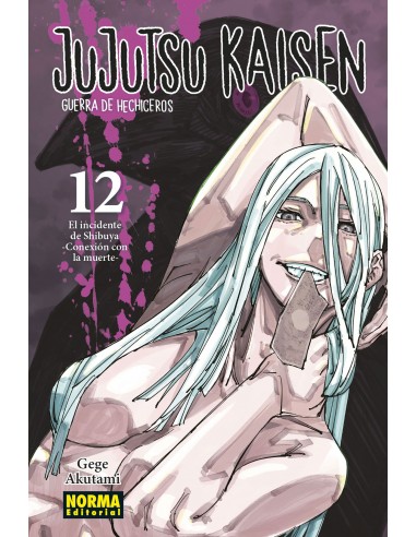 Jujutsu Kaisen Nº12