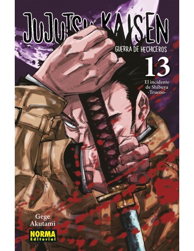 Jujutsu Kaisen Nº13