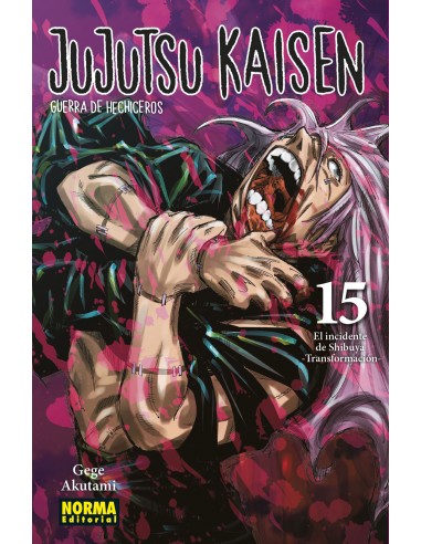Jujutsu Kaisen Nº15