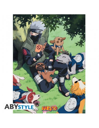 Póster Naruto Shippuden Kakashi &...