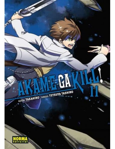 Akame Ga Kill! Nº11