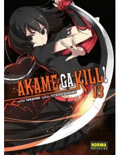 Akame Ga Kill! Nº13