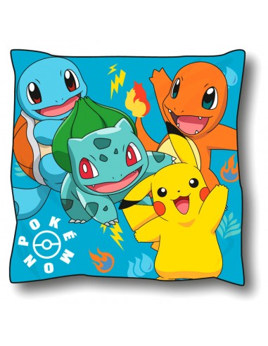 Cojin Pokémon Grupo