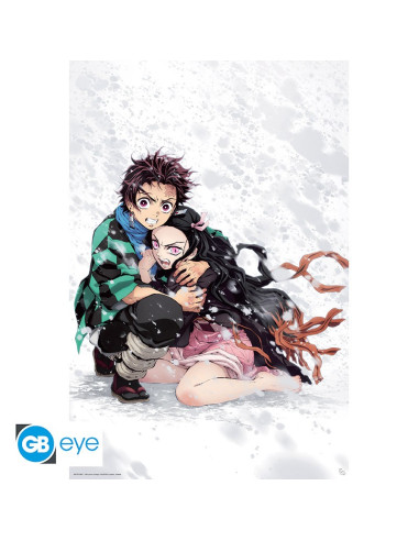 Póster Demon Slayer Tanjiro & Nezuko...