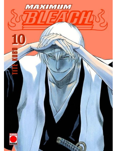 Maximum Bleach Nº10