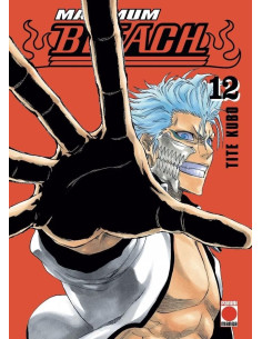 Maximum Bleach Nº12