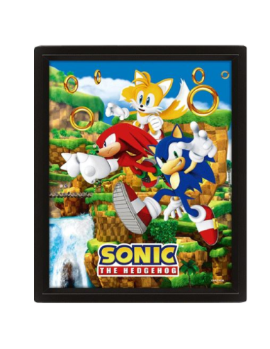 Cuadro 3D Lenticular Sonic The...