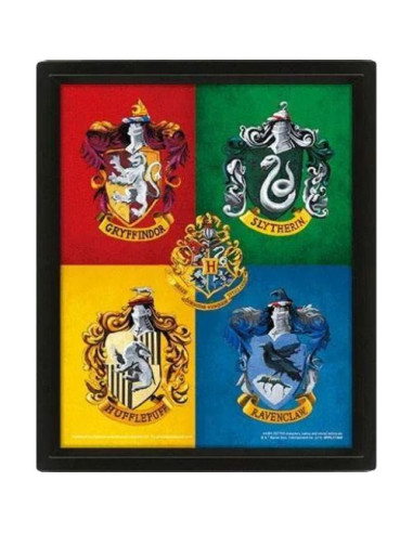 Cuadro 3D Lenticular Harry Potter...