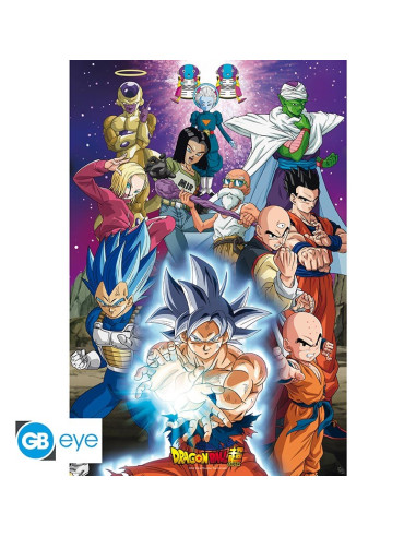 Póster Dragon Ball Super Universo 7...