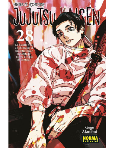 Jujutsu Kaisen Nº28