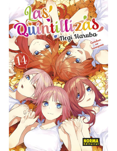 Las Quintillizas Nº14