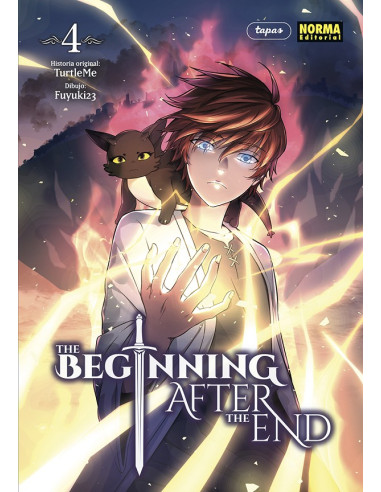 The Beginning After The End Nº4
