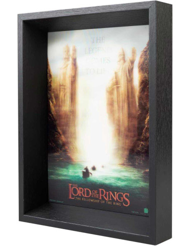 Cuadro 3D Lenticular El Señor de los...