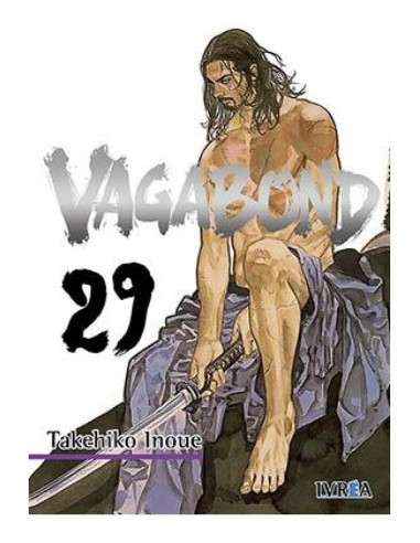 Vagabond Nº29