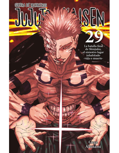 Jujutsu Kaisen Nº29