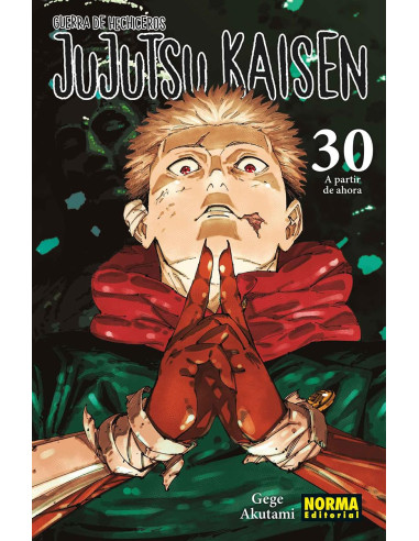 Jujutsu Kaisen Nº30