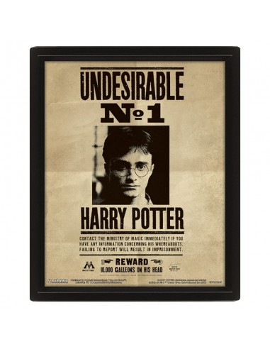Cuadro 3D Lenticular Harry Potter...