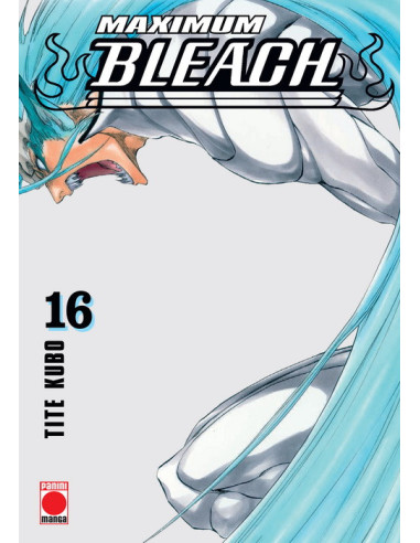 Maximum Bleach Nº16