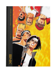 RESERVA NEOGEO: Una crónica...